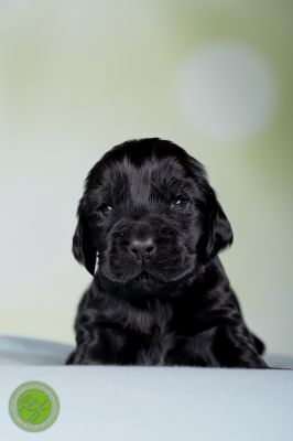 Unsere Babys mit 14 Tage 