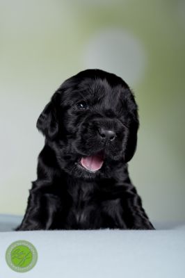 Unsere Babys mit 14 Tage 