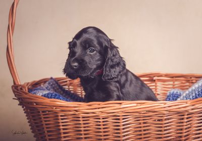 ein traum wird wahr.._2