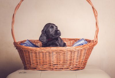 ein traum wird wahr.._8