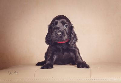 ein traum wird wahr.._22