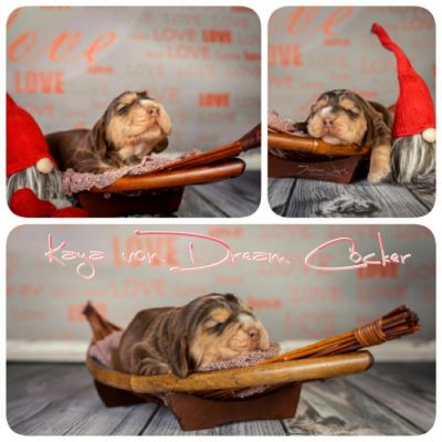 ein traum wird wahr.._2