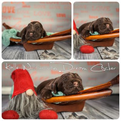 ein traum wird wahr.._3