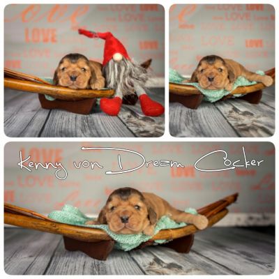 ein traum wird wahr.._5