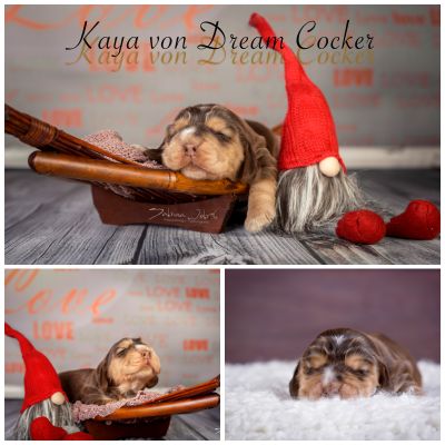 ein traum wird wahr.._7