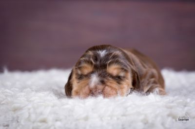 ein traum wird wahr.._23