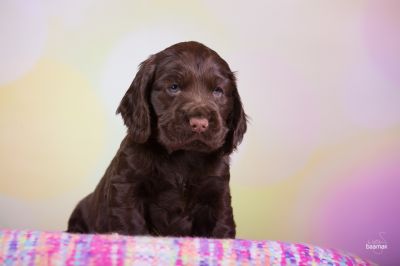 ein traum wird wahr.._4