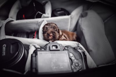 Die erste Lebenswoche_4