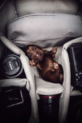 Die erste Lebenswoche_23