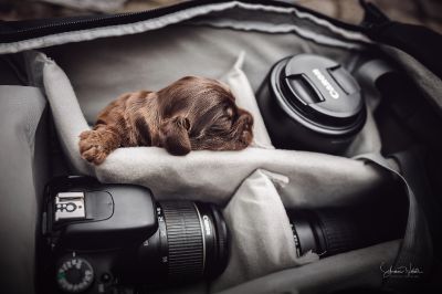 Die erste Lebenswoche_26