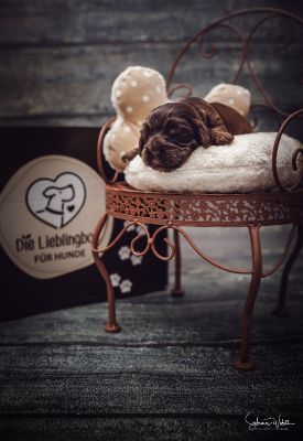 Die erste Lebenswoche_35