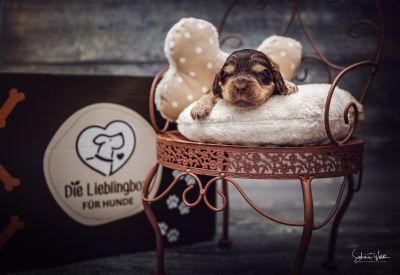 Die erste Lebenswoche_36