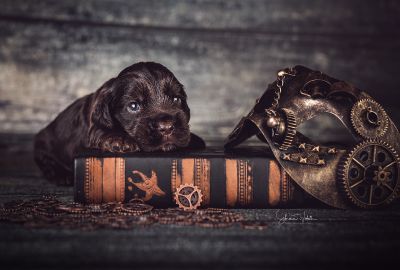 Die 3 Lebenswoche der kleinen q-chen_17