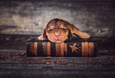 Die 2 Lebenswoche der kleinen q-chen_23