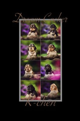 Unseren Traumhaften R-chen_1