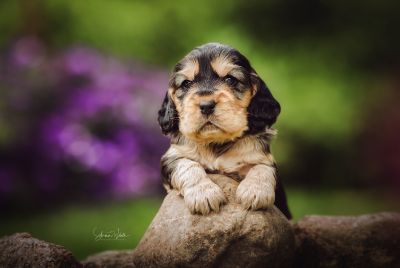 Unseren Traumhaften R-chen_8