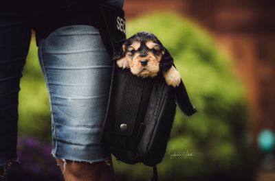 Unseren Traumhaften R-chen_9