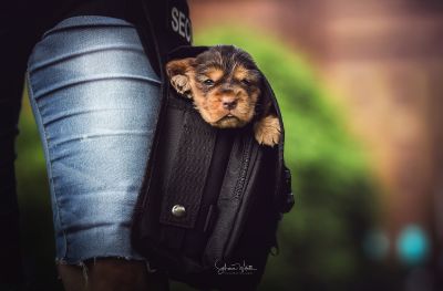 Unseren Traumhaften R-chen_12