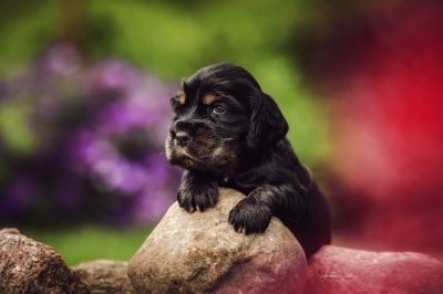 Unseren Traumhaften R-chen_19