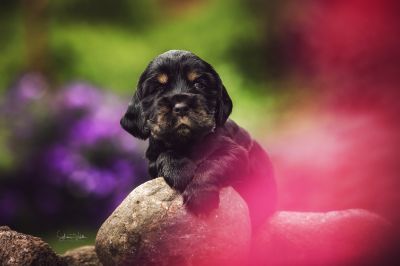 Unseren Traumhaften R-chen_20