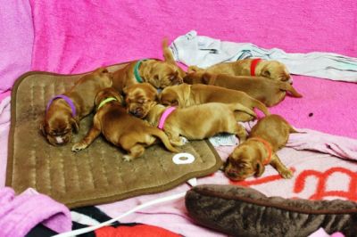 Wenn aus Liebe Leben wird...