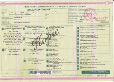 Cheery Queen Syrbianus Gesundheitsuntersuchung & Urkunden_1