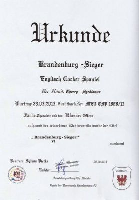 Cheery Queen Syrbianus Gesundheitsuntersuchung & Urkunden_7