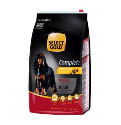 Gracia von Dream Cocker _1