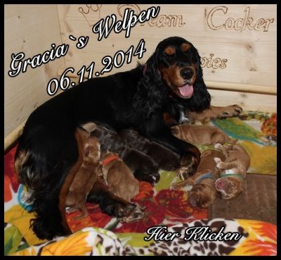 Hurra Gracias Welpen sind da _2