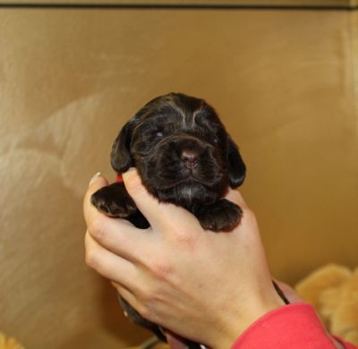 Wir haben die Augen auf :-)_4