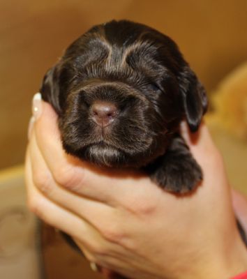 Wir haben die Augen auf :-)_6