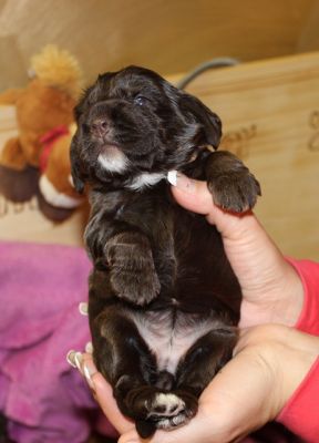 Wir haben die Augen auf :-)_10