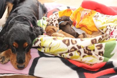 Unsere Model Babys :-*_7