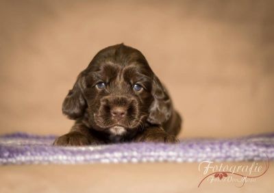 3 Wochen alt , die topmodels  _31