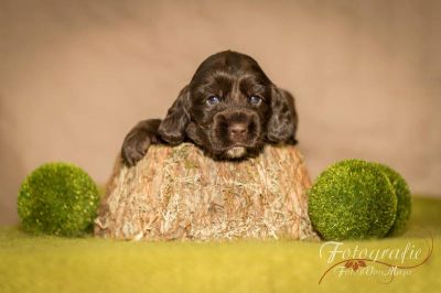 3 Wochen alt , die topmodels  _32