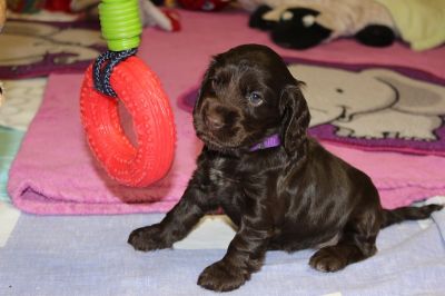 Wir sind 5 Wochen alt _19