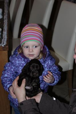 Wir sind 5 Wochen alt _35