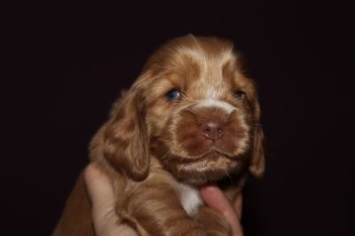 Wir sind 3 wochen alt _9