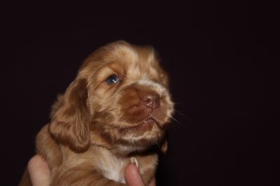 Wir sind 3 wochen alt _10