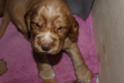 Wir sind 3 wochen alt _21