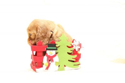 Wir sind jetzt5 Wochen alt und so lieb _25