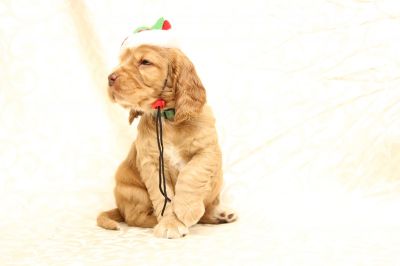 Wir sind jetzt5 Wochen alt und so lieb _63