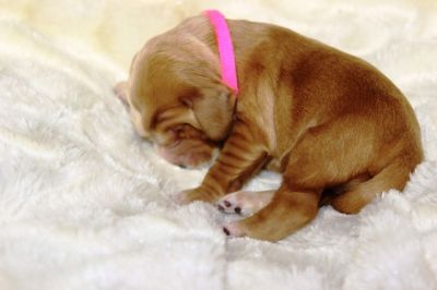 Wenn aus Liebe Leben wird...