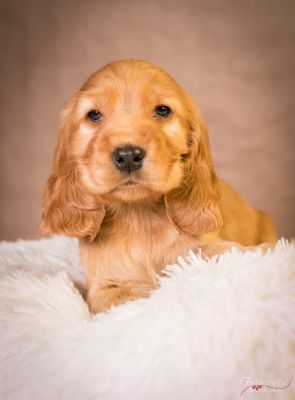 7 Kleine Engelchen :-)_5