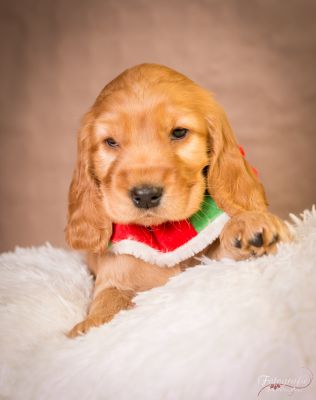 7 Kleine Engelchen :-)_14