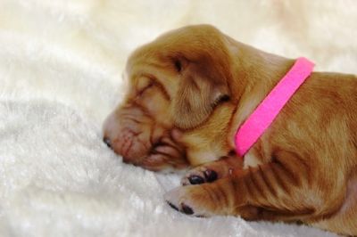 Wenn aus Liebe Leben wird...