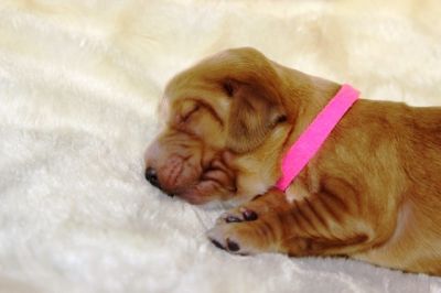 Wenn aus Liebe Leben wird...