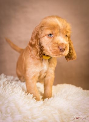 7 Kleine Engelchen :-)_49