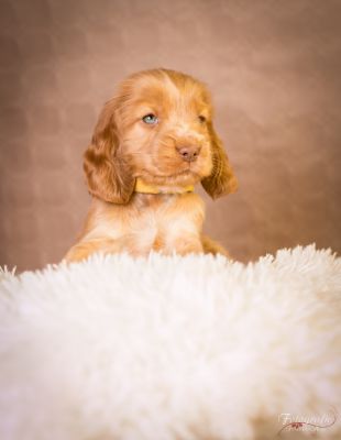 7 Kleine Engelchen :-)_51