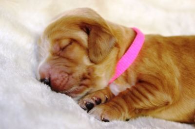 Wenn aus Liebe Leben wird...